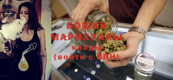 трава Аркадак