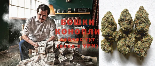трава Аркадак