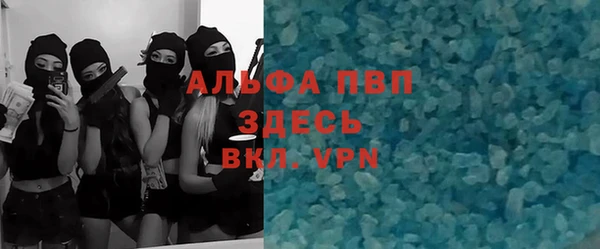 трава Аркадак
