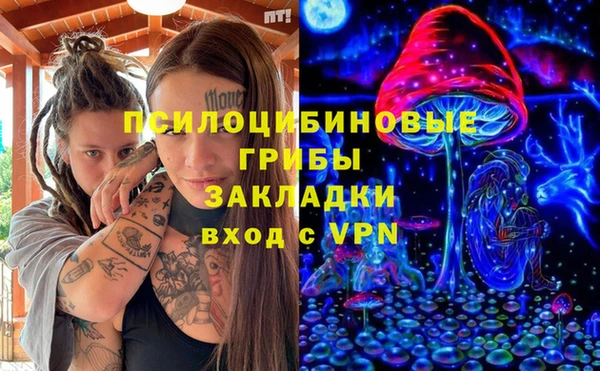 трава Аркадак