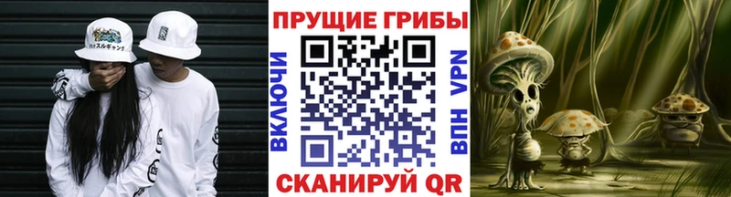 Псилоцибиновые грибы GOLDEN TEACHER  Болгар 